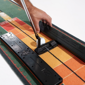 Wellputt stroke master